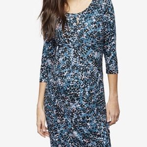 Seraphine Maternity Printed Dress Size 6